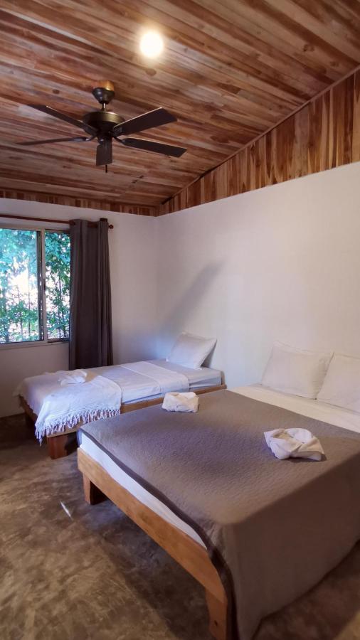 Armadillo Eco Bungalows - Santa Teresa Playa Santa Teresa  Εξωτερικό φωτογραφία