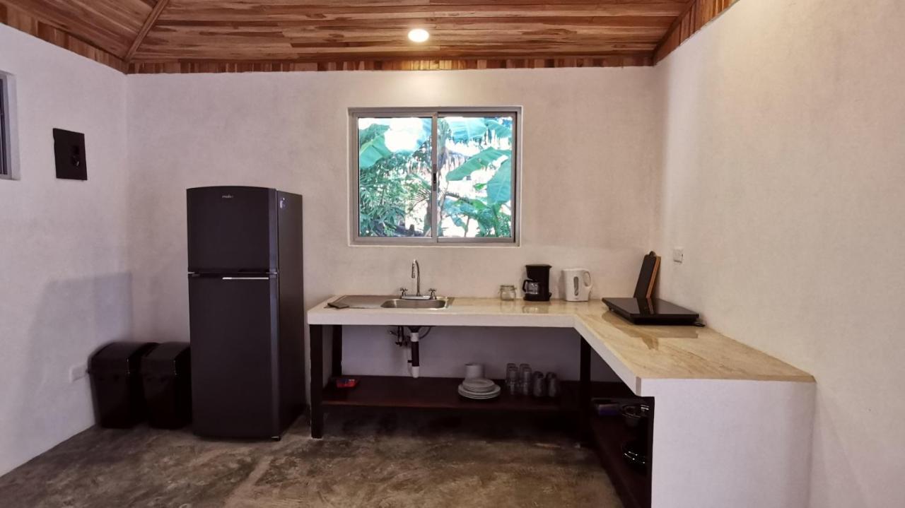 Armadillo Eco Bungalows - Santa Teresa Playa Santa Teresa  Εξωτερικό φωτογραφία