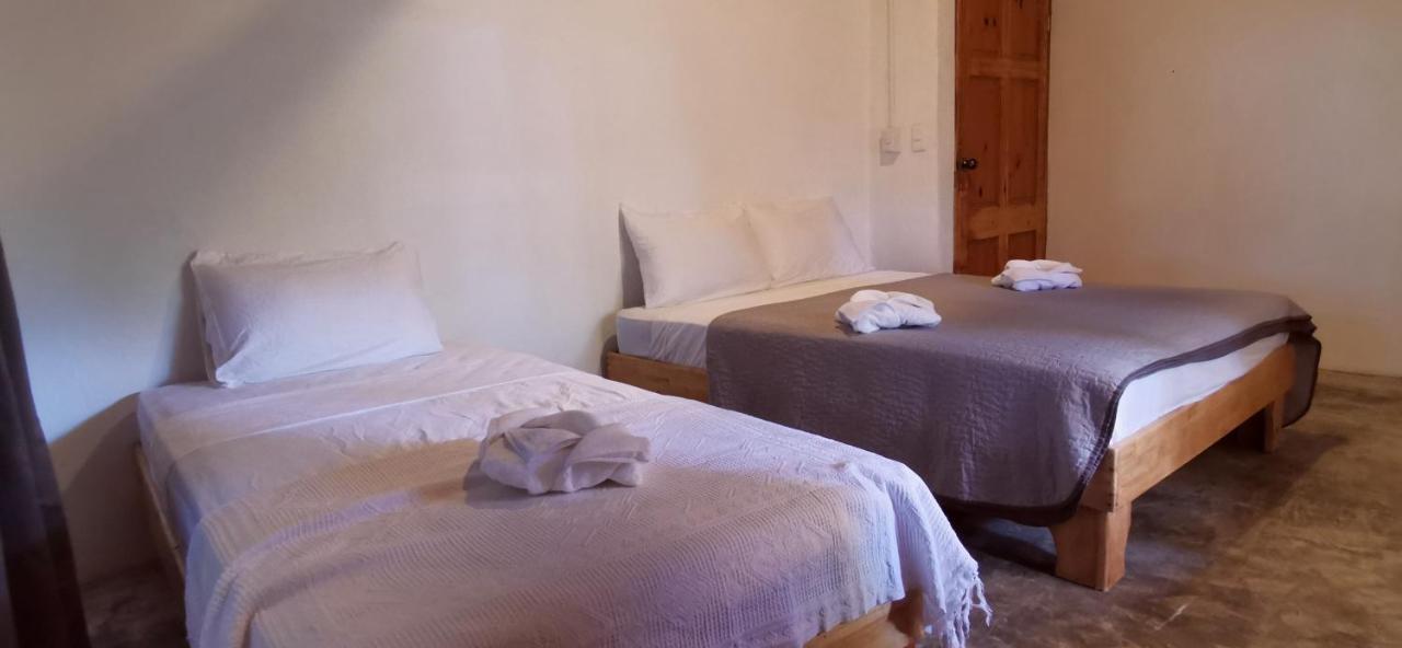 Armadillo Eco Bungalows - Santa Teresa Playa Santa Teresa  Εξωτερικό φωτογραφία